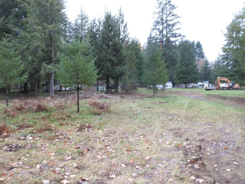 657-a&b Falls Road Randle, WA 98377 - Photo 8 of 10 Gallery Image 8