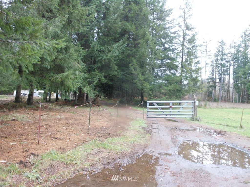 657-a&b Falls Road Randle, WA 98377 - Photo 9 of 10 Gallery Image 9