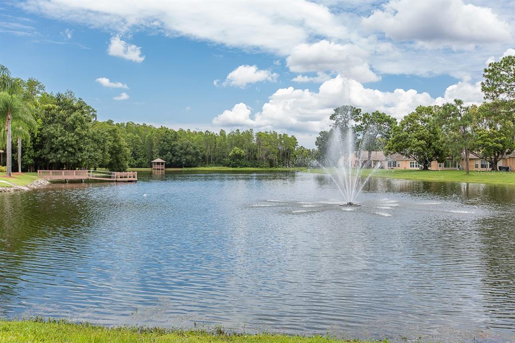 9052 Arundle Place New Port Richey, FL 34655 - Photo 44 of 57