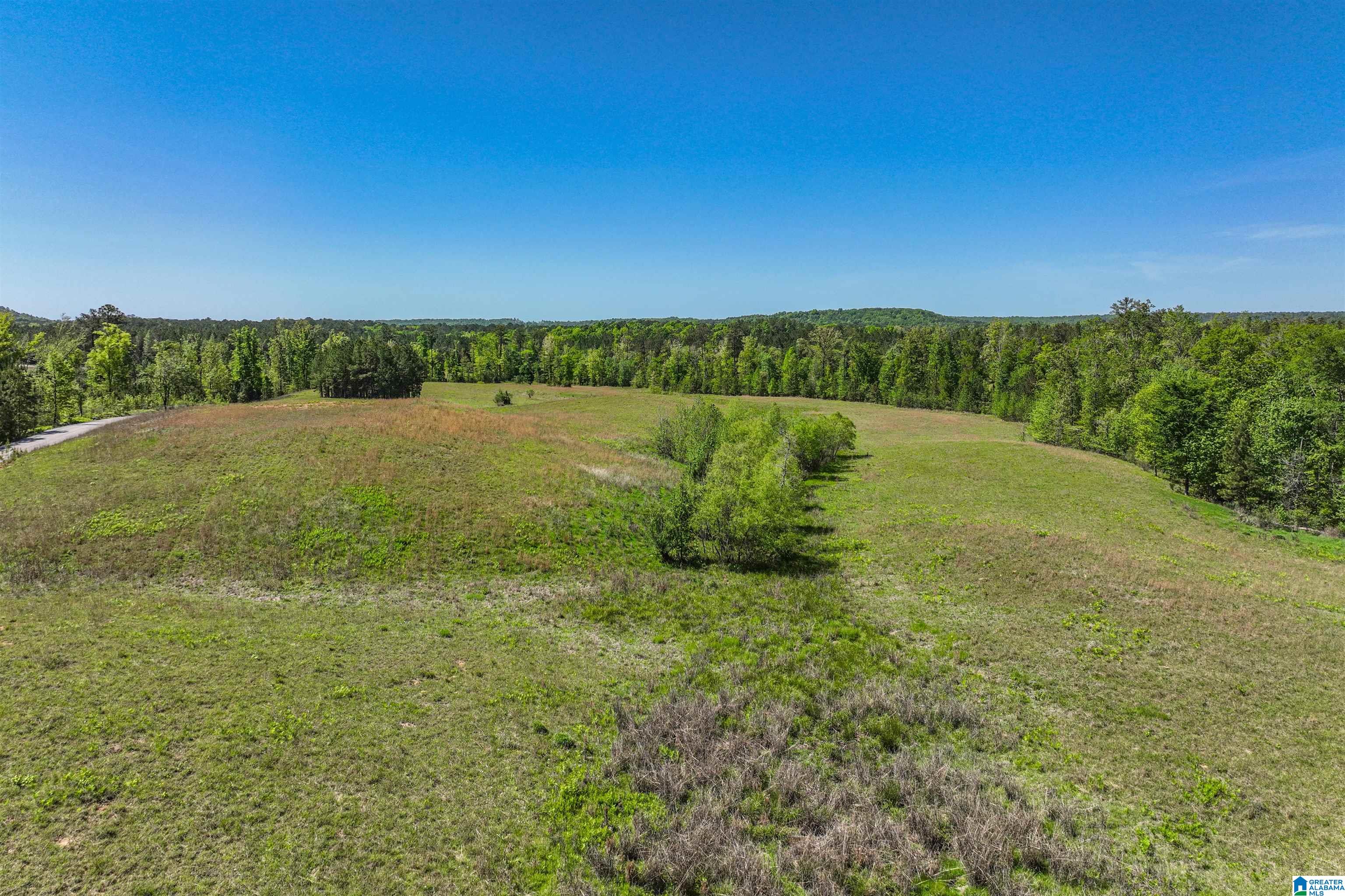 489 4 Wing Lake Road Alabaster, AL 35007 - Photo 19 of 27