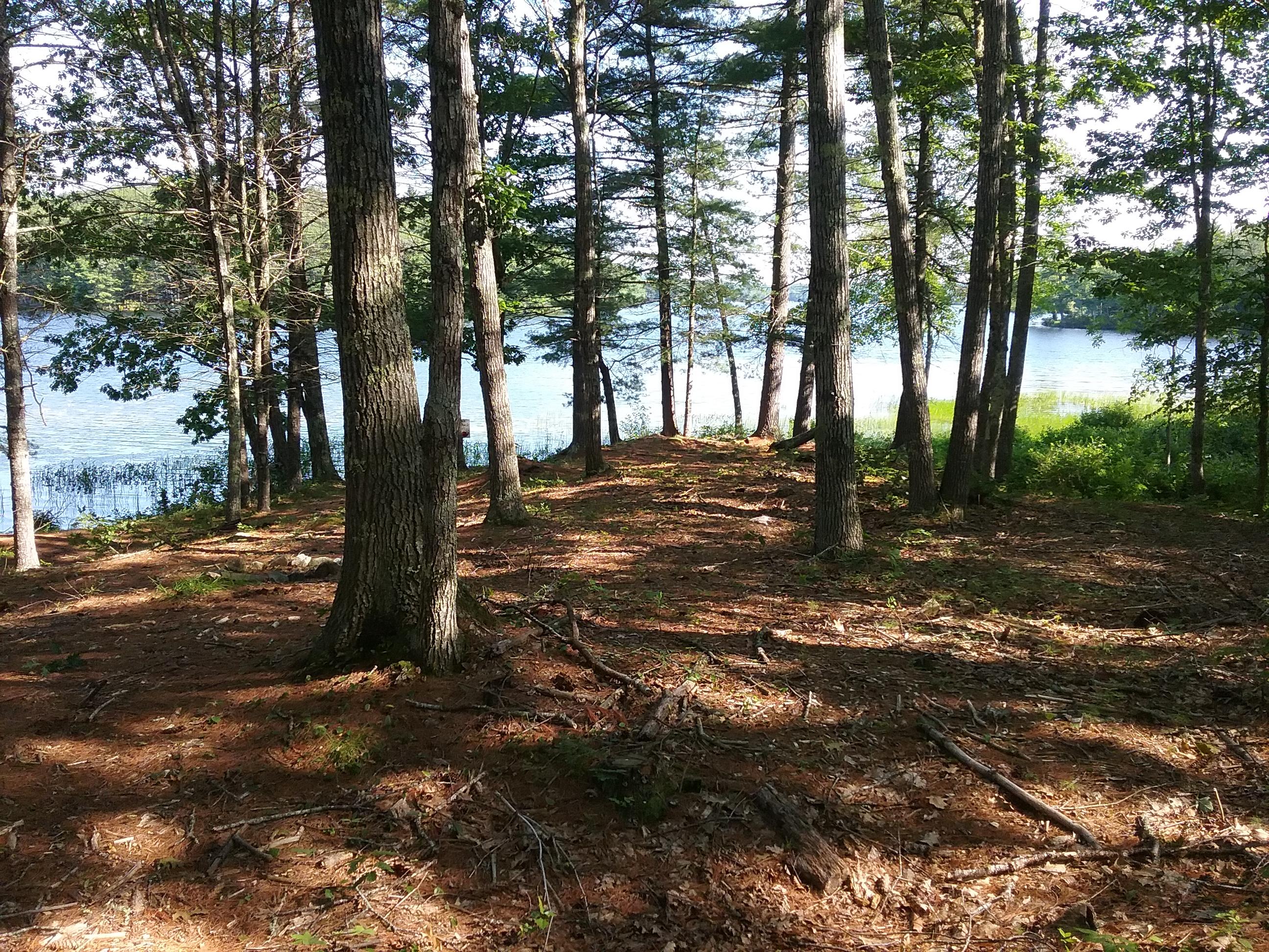 760 West Neck Road Nobleboro, ME 04555 - Photo 3 of 3 20190801_090722