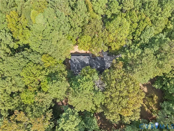 a view of a plants with wall