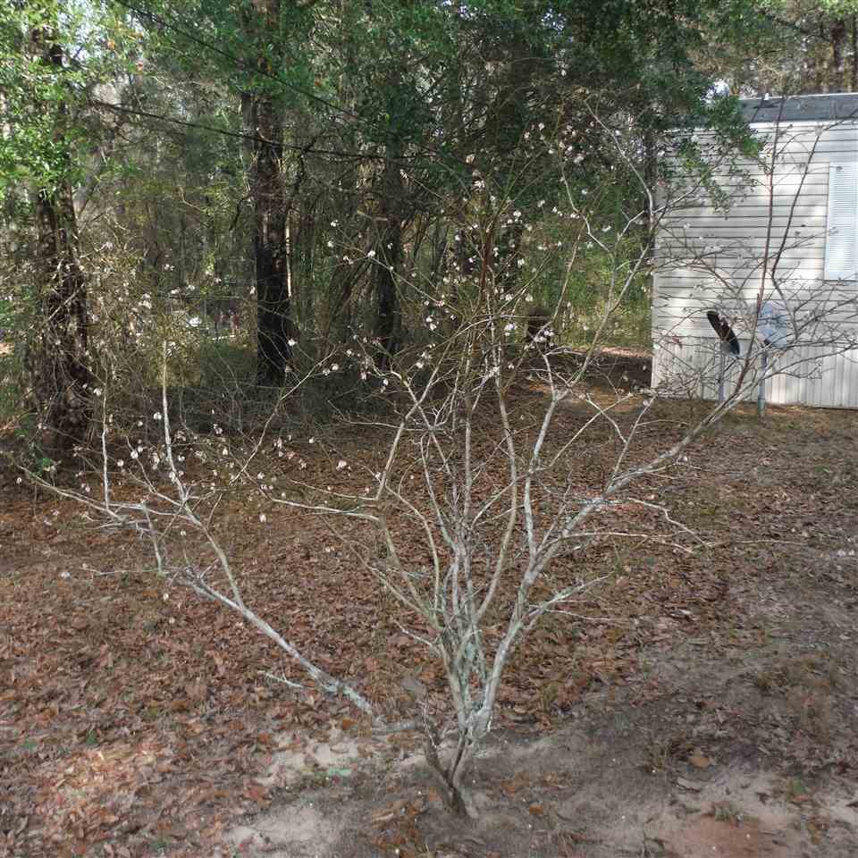 1896 Handy Road Cantonment, FL 32533 - Photo 6 of 39