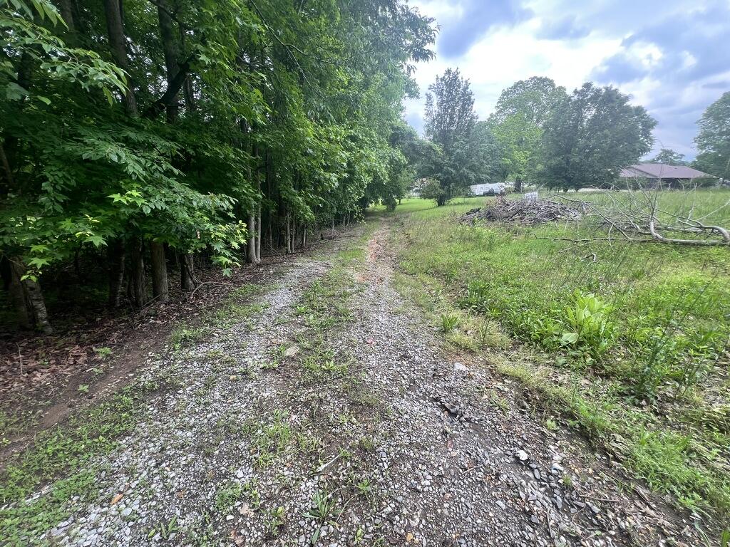 291 Sweetens Cove Road South Pittsburg, TN 37380 - Photo 3 of 4 C97F8358-56F6-4120-9B94-A8835BB9028D_1_1