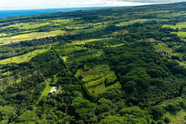 a view of a field with an ocean