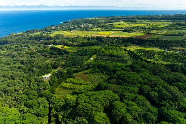 a view of a city with an ocean