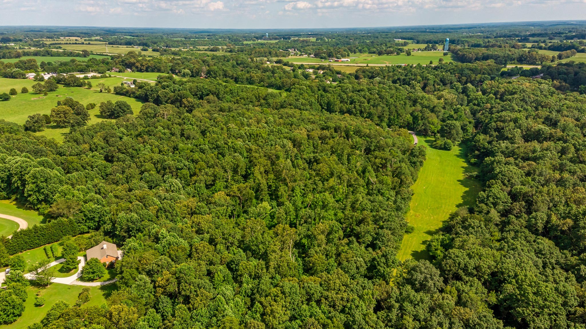 1290 Crowder Road Lawrenceburg, TN 38464 - Photo 27 of 30 a view of a green field with lots of bushes