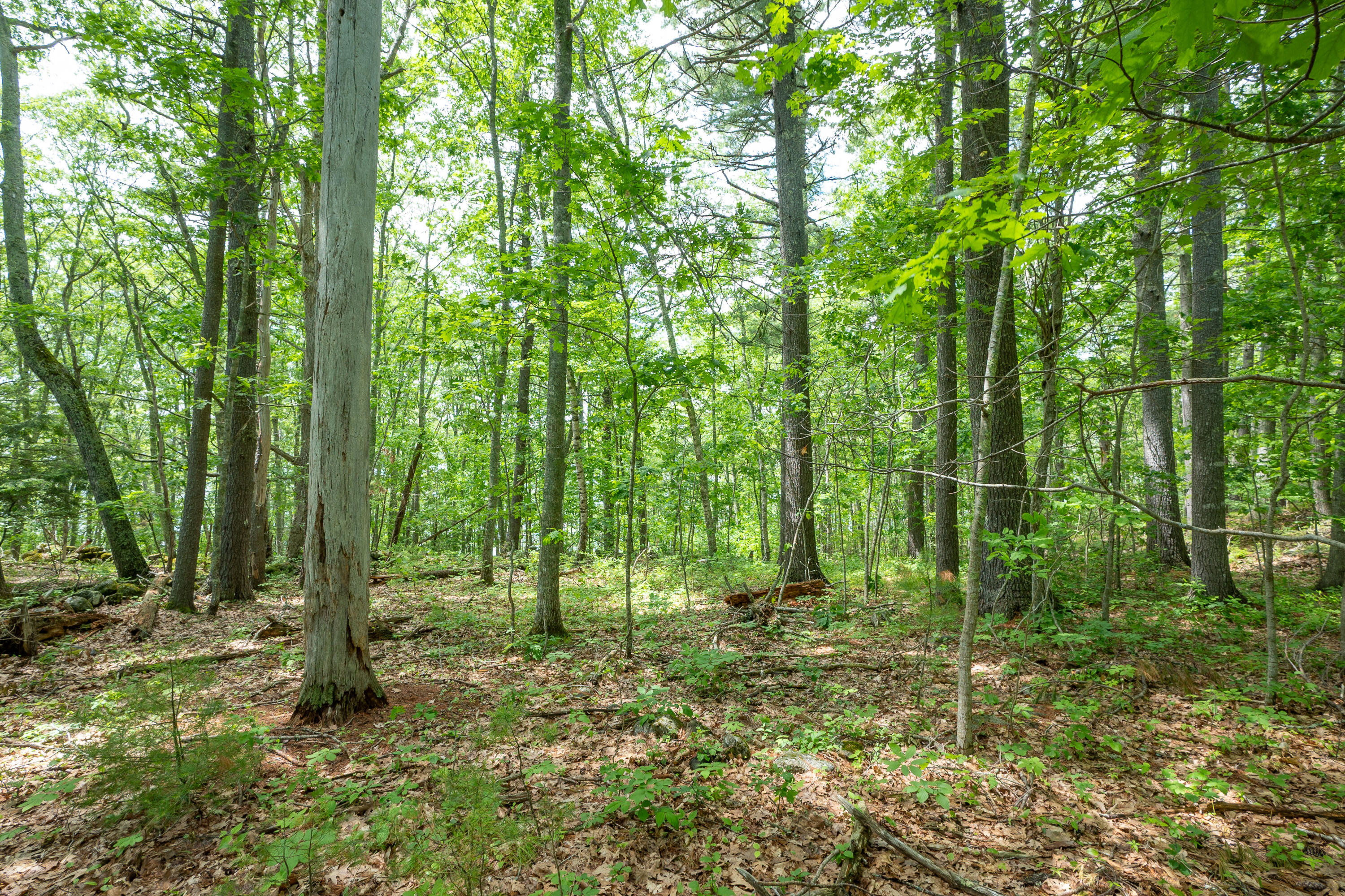 21 A Map 12 Lot21-a Bristol Road Bristol, ME 04539 - Photo 25 of 27 24-Near huston Ln-2