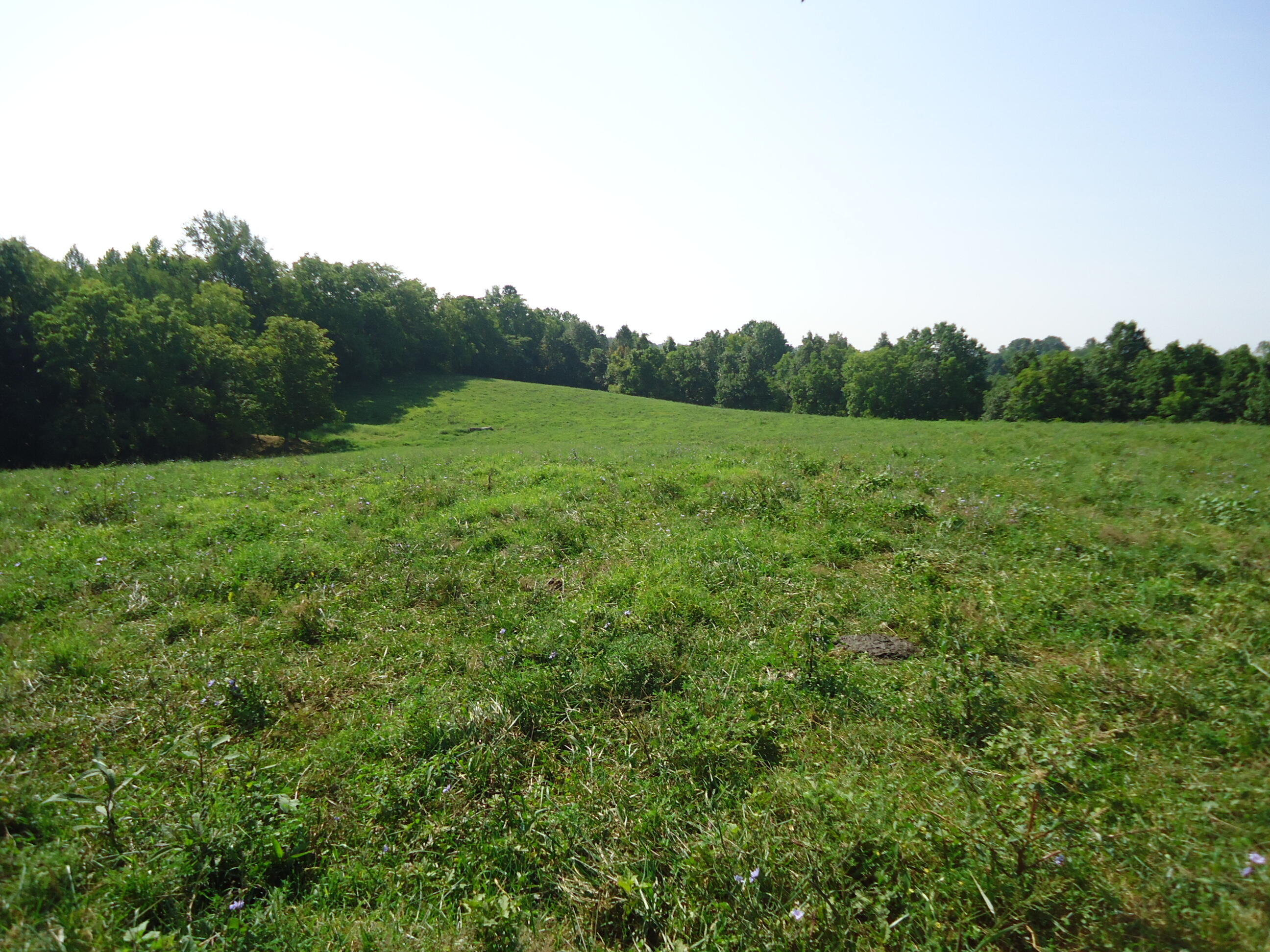 1 Sugar Creek Road Lancaster, KY 40444 - Photo 33 of 36 DSC01891