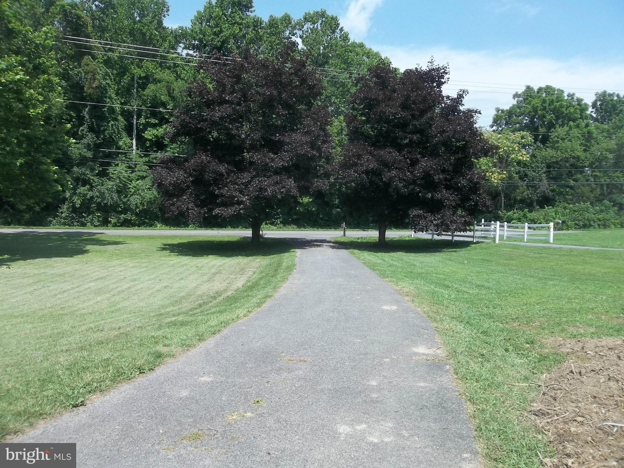 6038 Howellsville Road Front Royal, VA 22630 - Photo 5 of 30 a view of a park with large trees