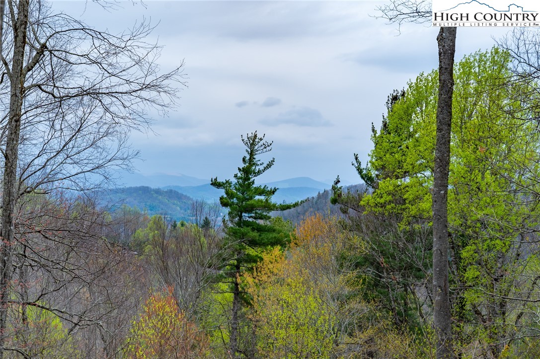 725 Fox Den Road Blowing Rock, NC 28605 - Photo 25 of 44 a view of a garden