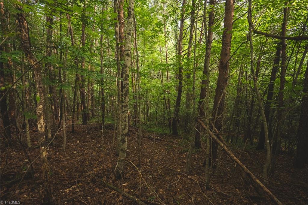 Tbd Johnson Ridge Road Elkin, NC 28621 - Photo 12 of 18