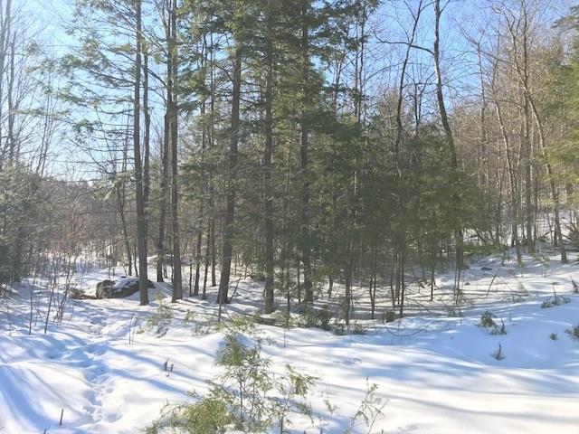 Lot A Sebago Road Sebago, ME 04029 - Photo 2 of 4 Photo