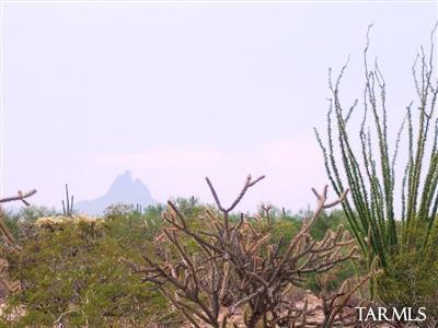 0 M South M Bar J Ranch Road Marana, AZ 85658 - Photo 3 of 6