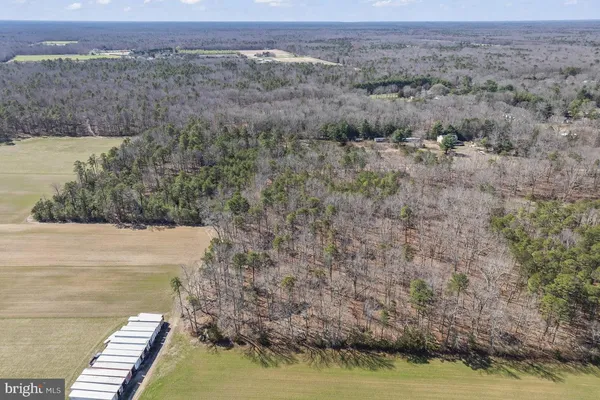 a view of a dry yard with trees