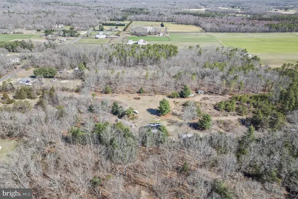 a view of a back yard with green space