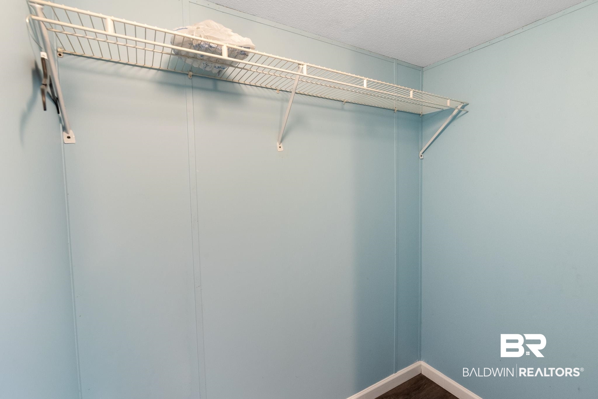 7695 Bermuda Drive Semmes, AL 36575 - Photo 22 of 27 View of spacious closet