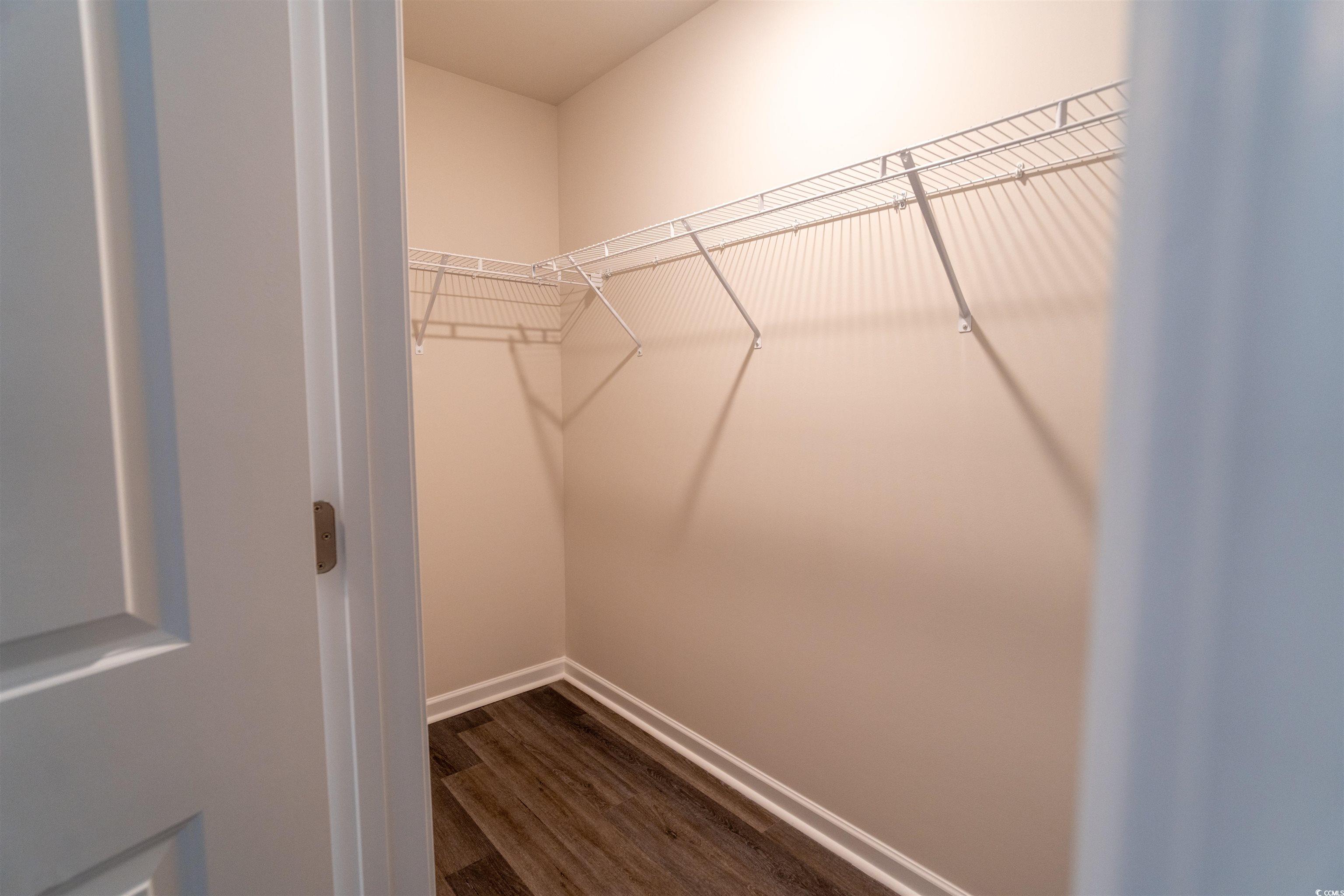 160 Harvest Gold Drive Conway, SC 29526 - Photo 22 of 37 Spacious closet with dark wood-type flooring