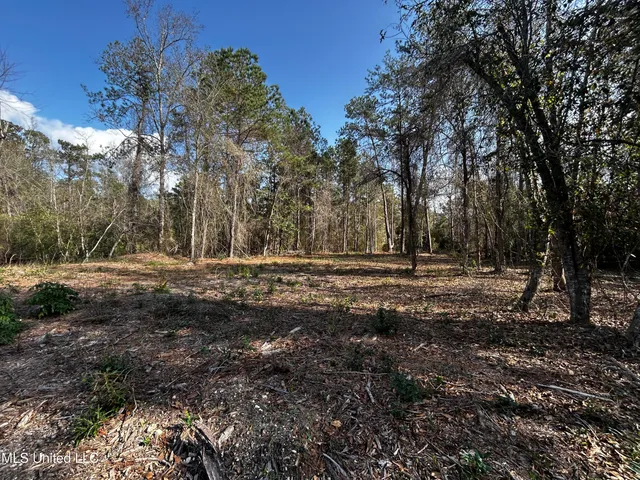 $50,000 | 0 Lakeside Drive, Carriere, MS 39426