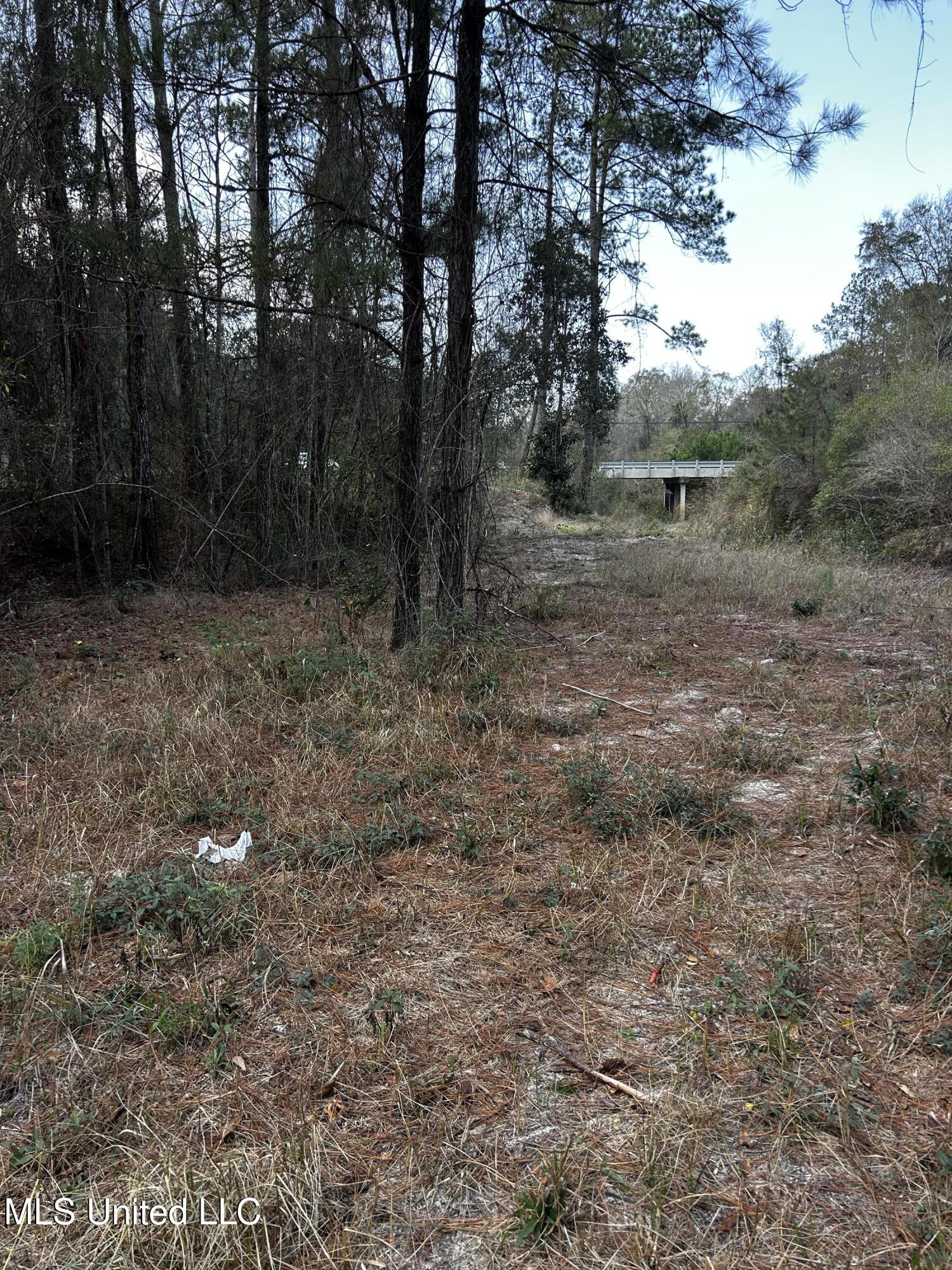 0 Lakeside Drive Carriere, MS 39426 - Photo 12 of 12 IMG_3560