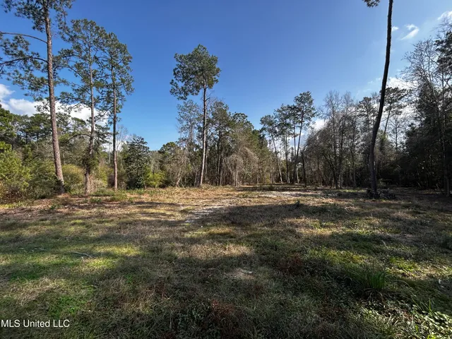 $50,000 | 0 Lakeside Drive, Carriere, MS 39426