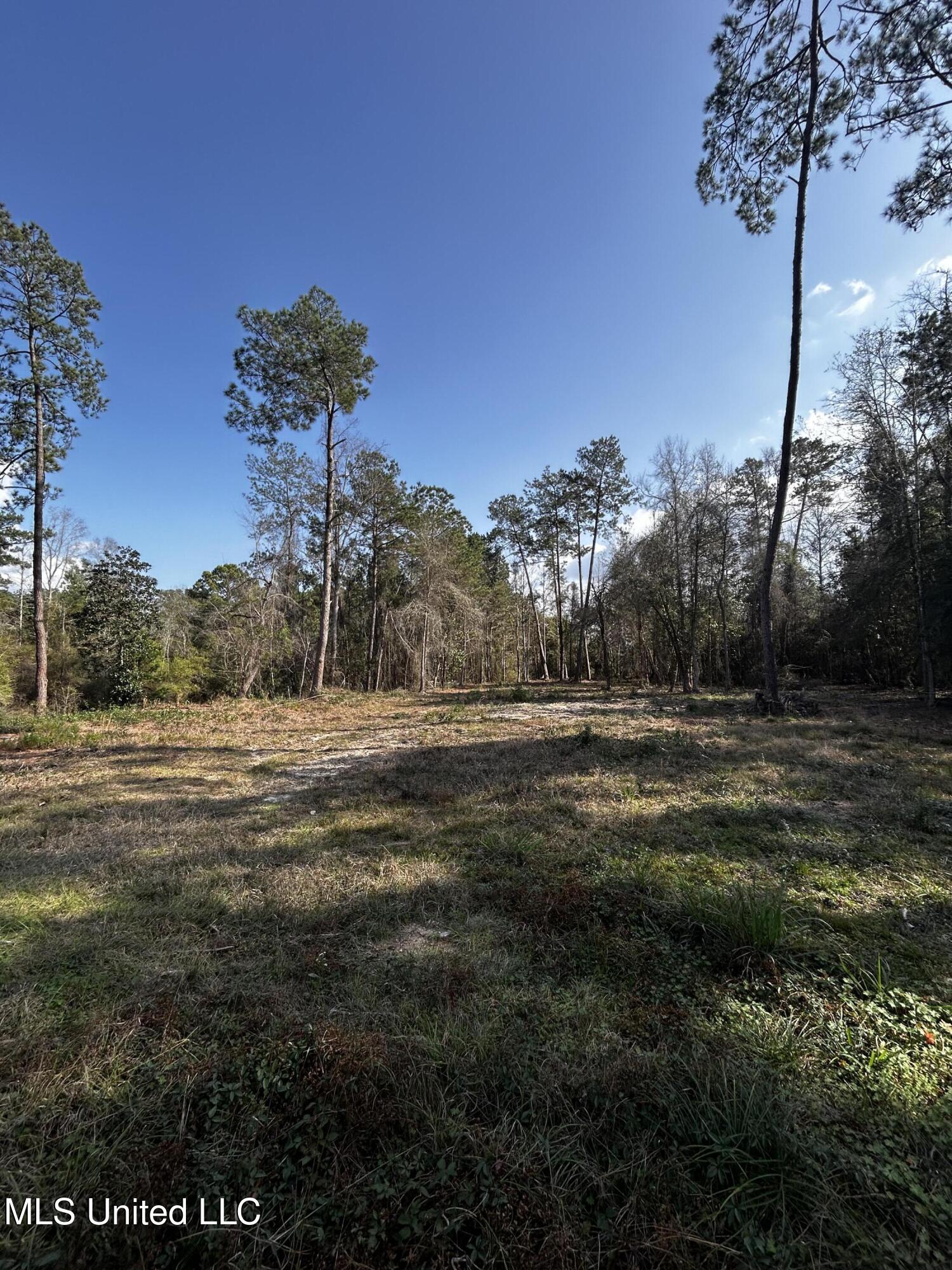 0 Lakeside Drive Carriere, MS 39426 - Photo 6 of 12 IMG_3572