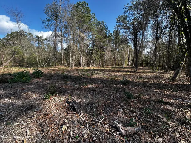 $50,000 | 0 Lakeside Drive, Carriere, MS 39426