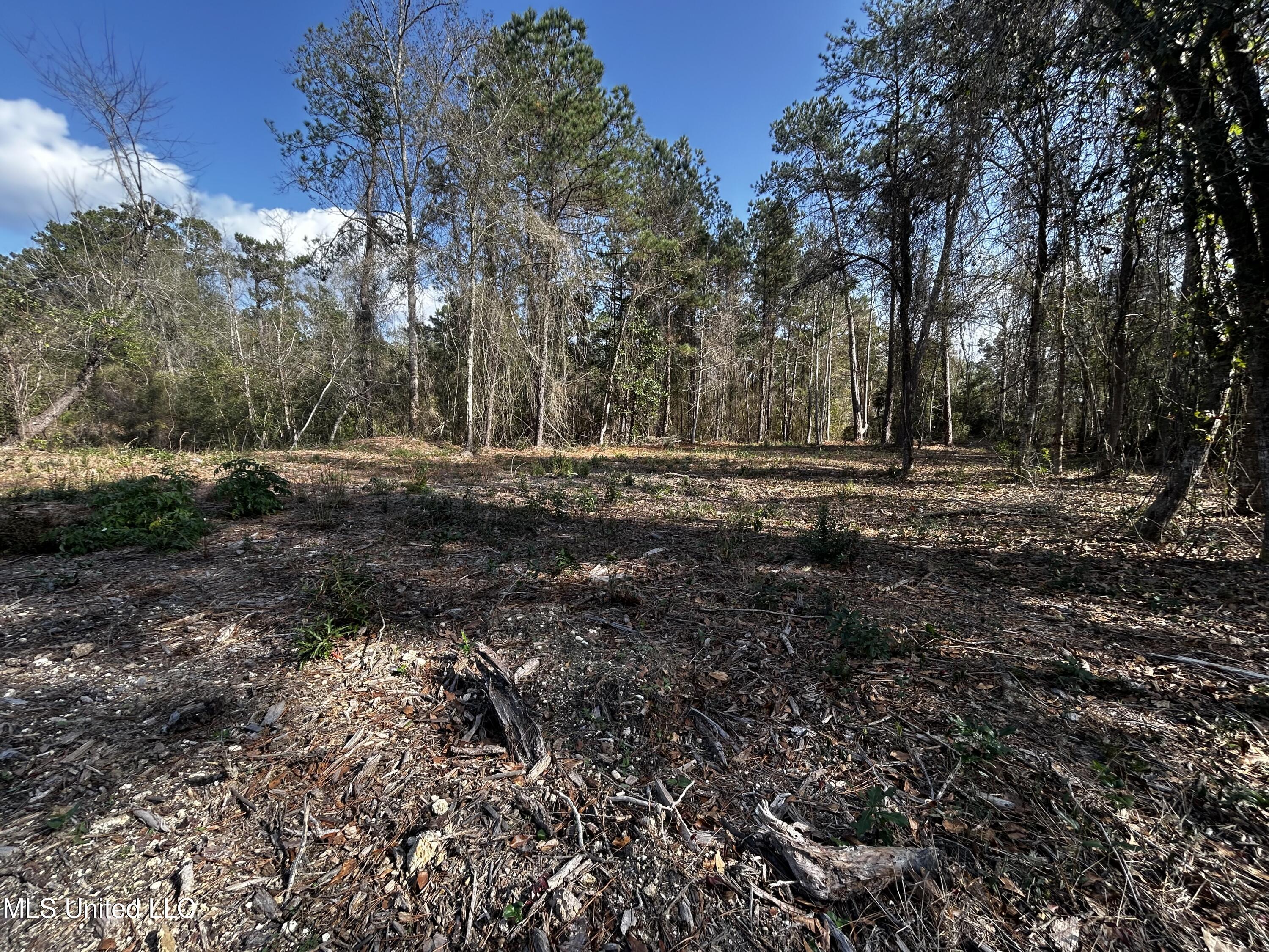 0 Lakeside Drive Carriere, MS 39426 - Photo 7 of 12 IMG_3569