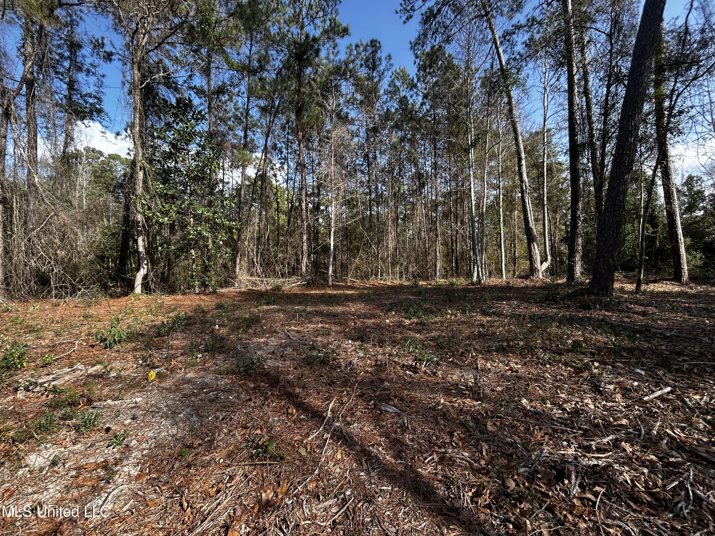 0 Lakeside Drive Carriere, MS 39426 - Photo 8 of 12 IMG_3567