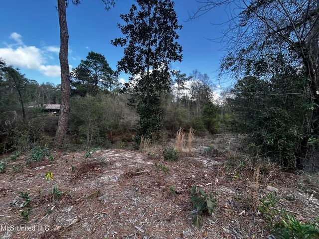 $50,000 | 0 Lakeside Drive, Carriere, MS 39426