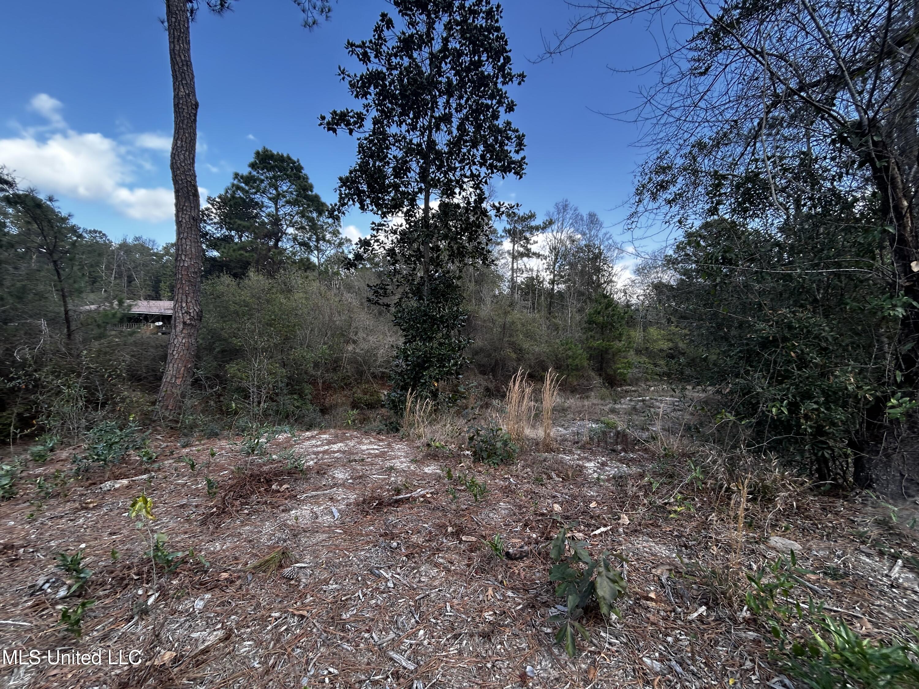 0 Lakeside Drive Carriere, MS 39426 - Photo 9 of 12 IMG_3564