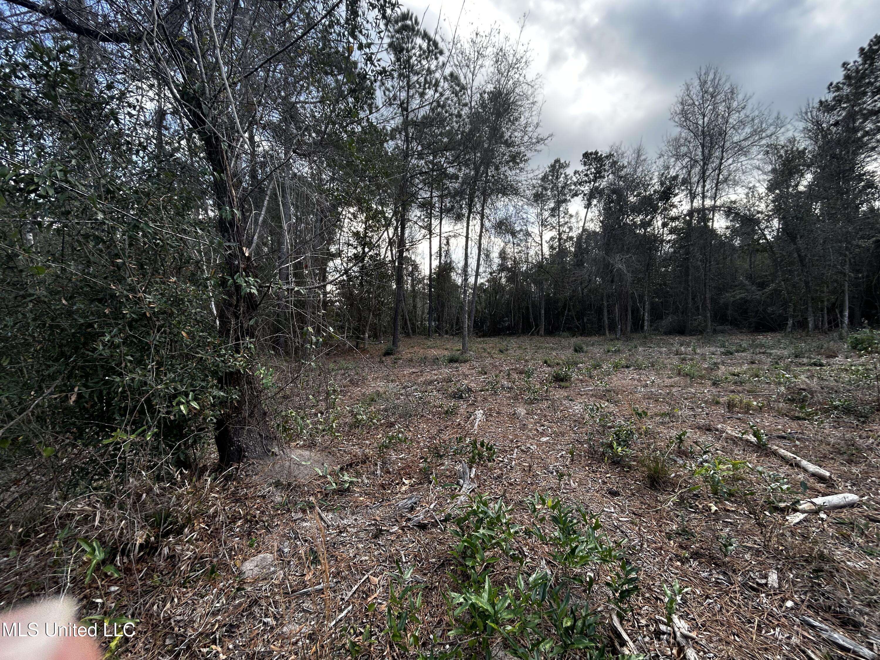 0 Lakeside Drive Carriere, MS 39426 - Photo 10 of 12 IMG_3562