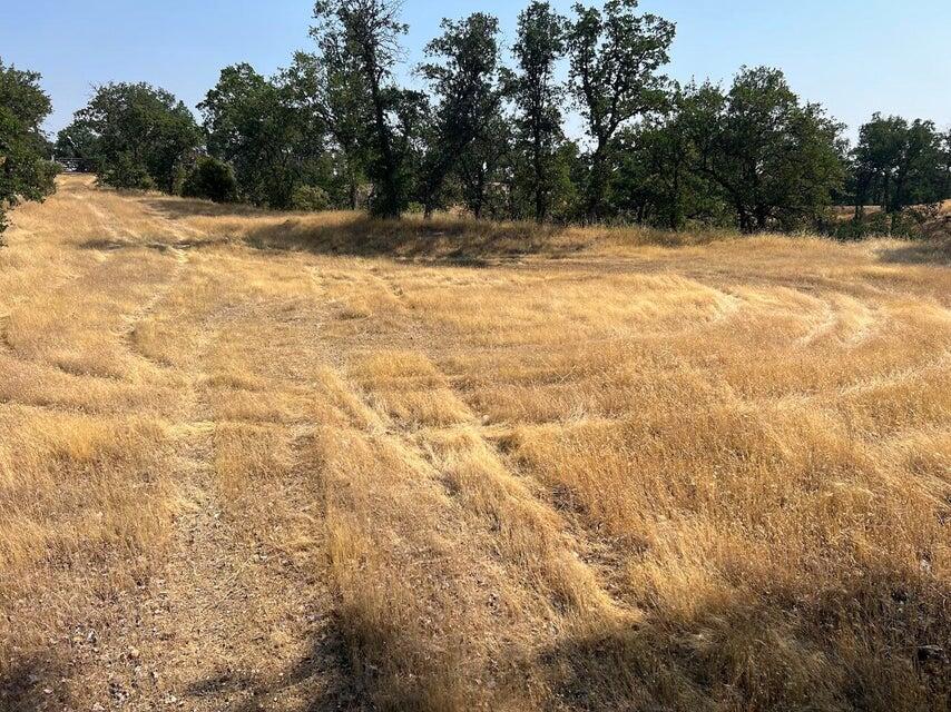 171252 Quail Ridge Road Cottonwood, CA 96022 - Photo 2 of 19 20250718213012674166000000-o