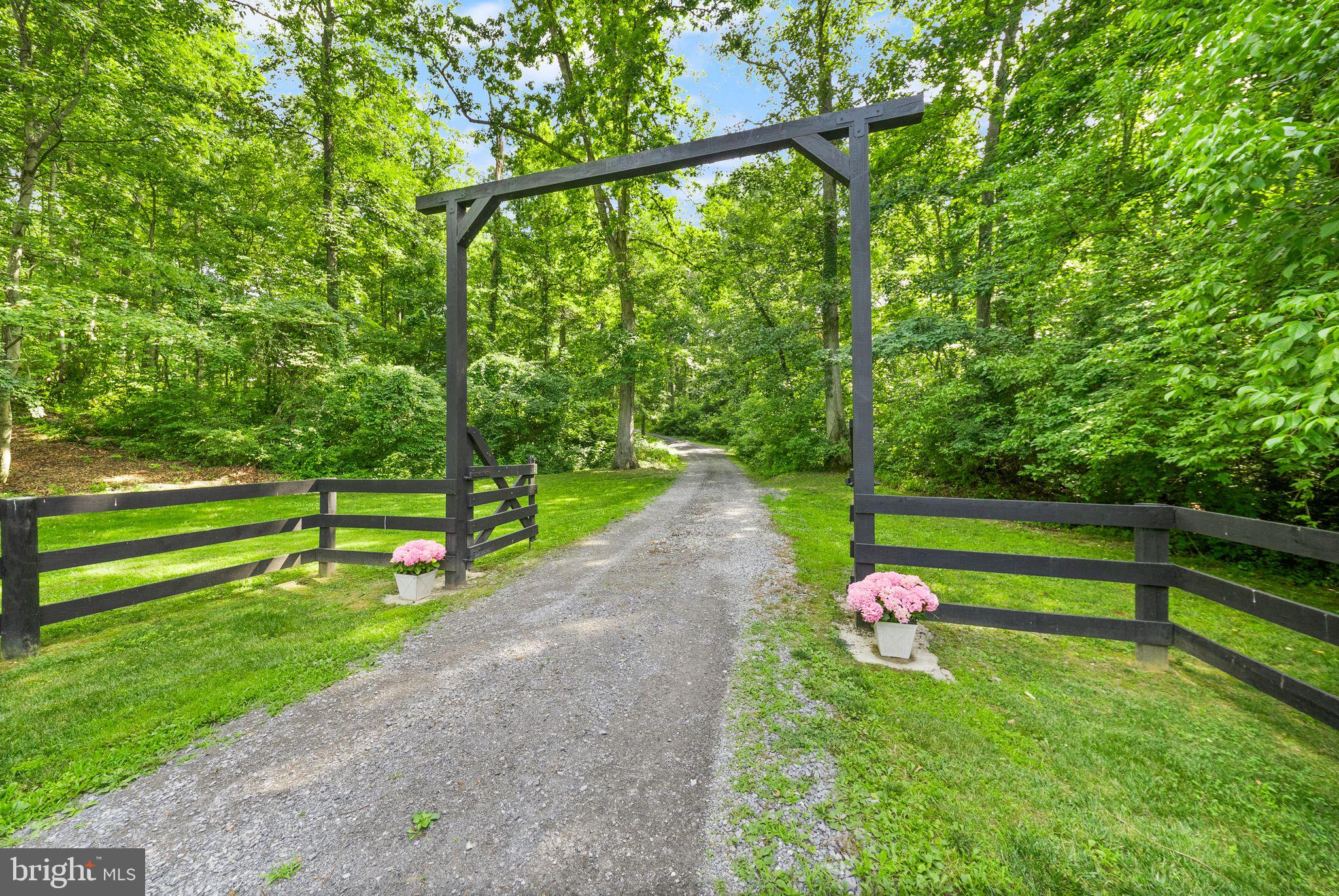 4020 Millwood Road Boyce, VA 22620 - Photo 104 of 132 Picturesque tree-lined driveway welcomes you home.