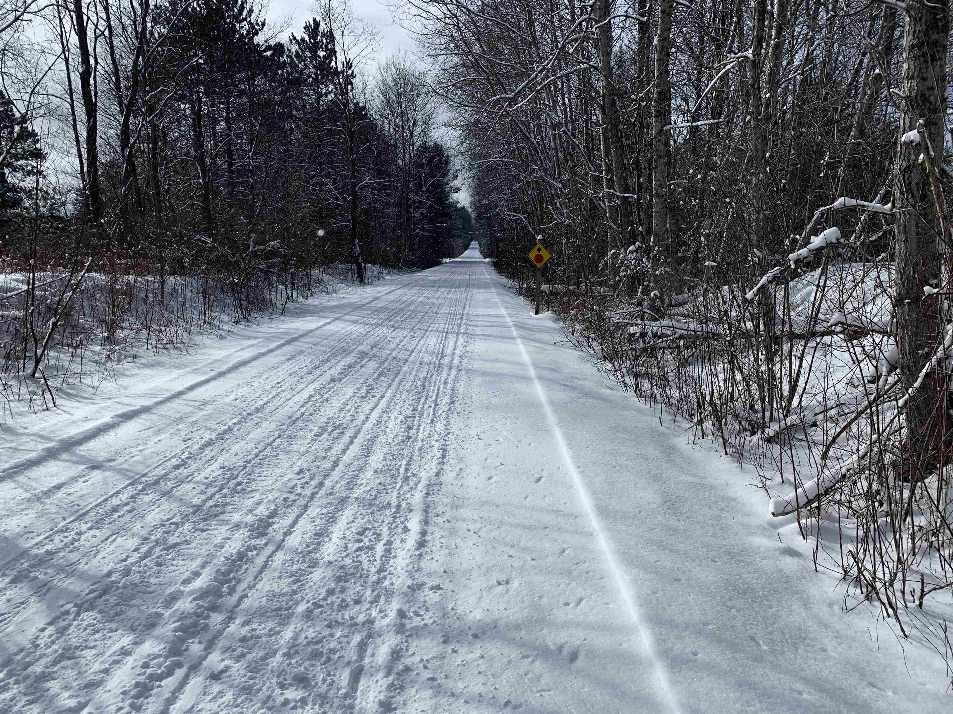 0 37 37 1/2 Road Cadillac, MI 49601 - Photo 8 of 16
