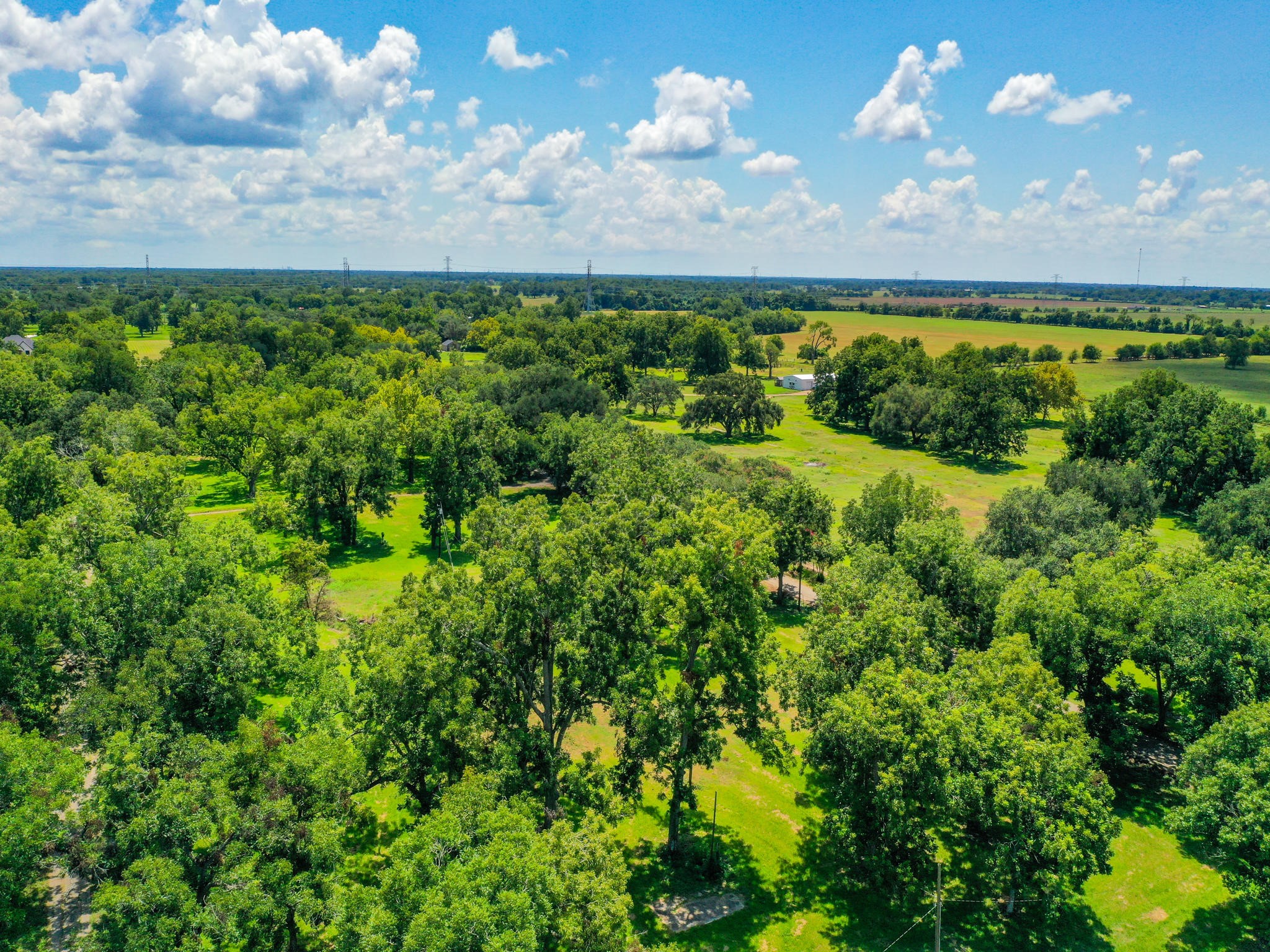 0 Texas Avenue Boling, TX 77420 - Photo 17 of 22 a view of a yard with an outdoor space