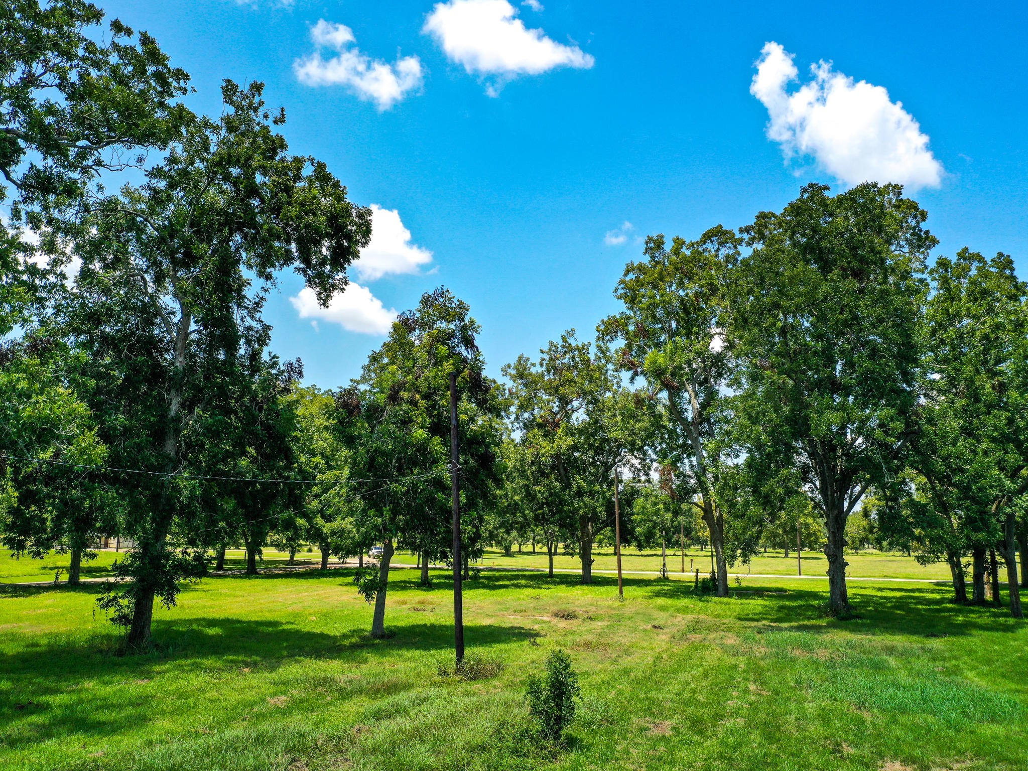 0 Texas Avenue Boling, TX 77420 - Photo 2 of 22 a view of a big yard with a big yard