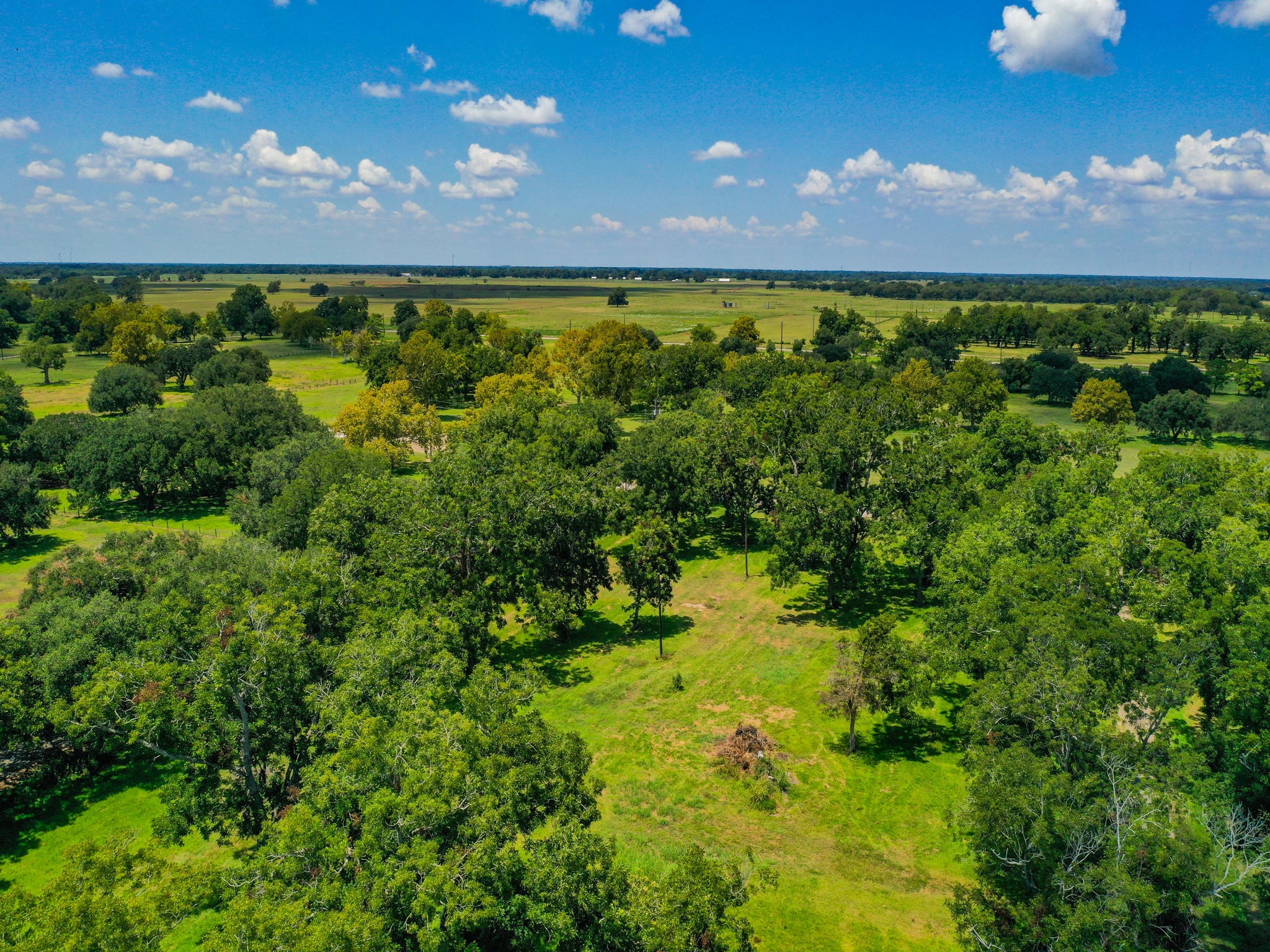 0 Texas Avenue Boling, TX 77420 - Photo 21 of 22 a view of yard with outdoor space