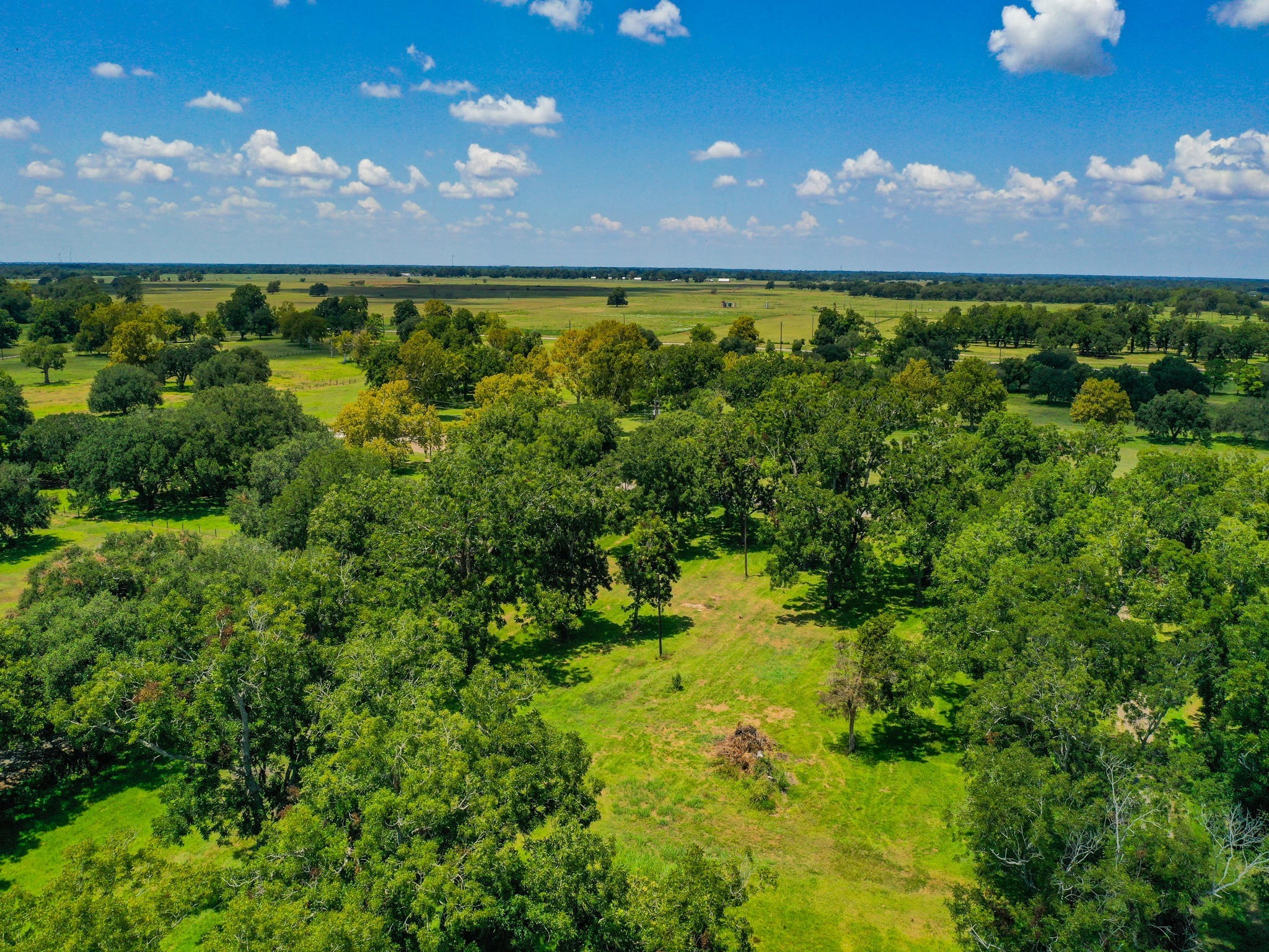 0 Texas Avenue Boling, TX 77420 - Photo 21 of 22