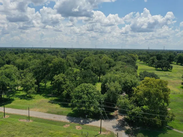 a view of a pathway both side of grassy field with shrub