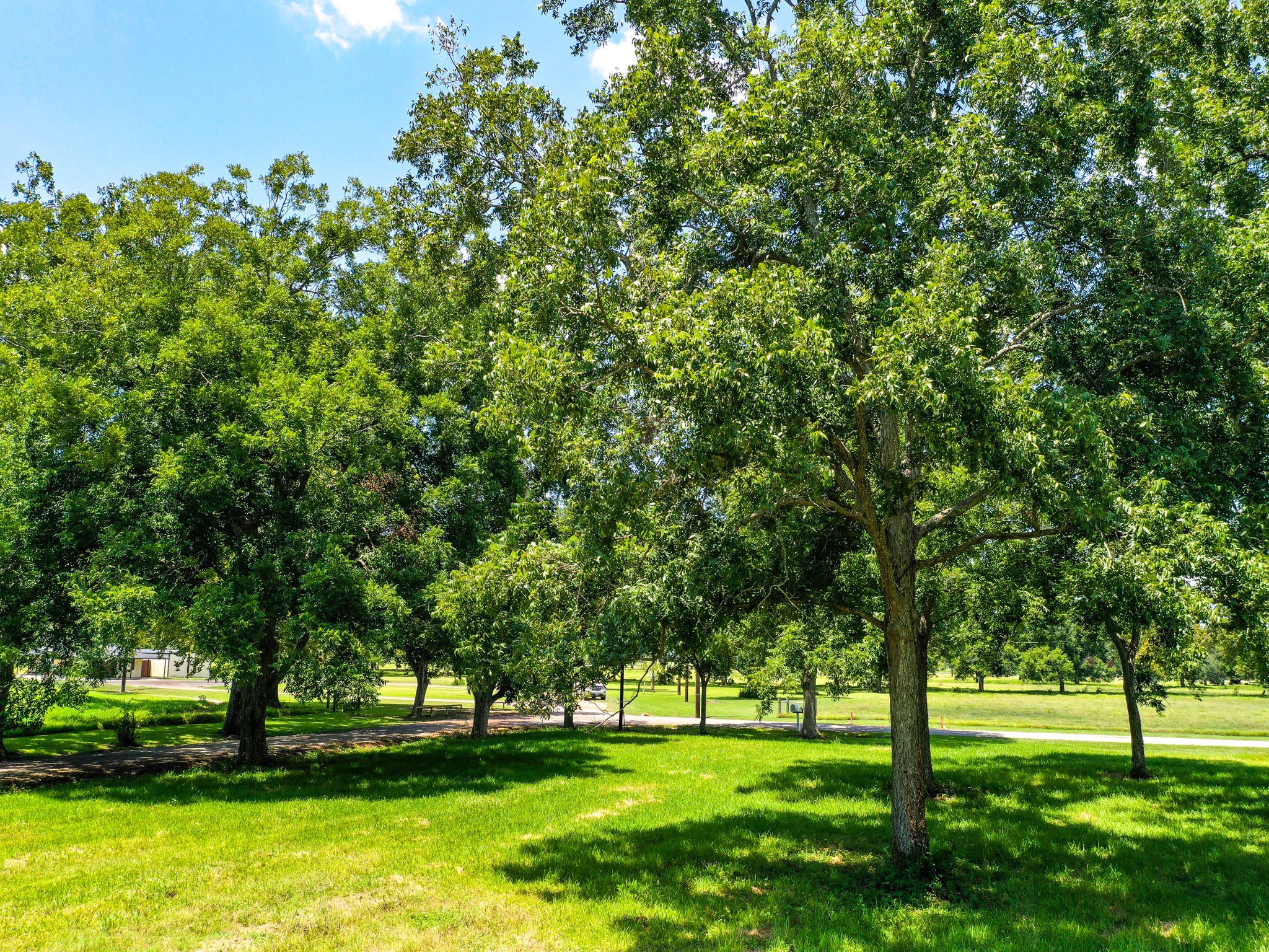 0 Texas Avenue Boling, TX 77420 - Photo 3 of 22 a view of grassy field with benches
