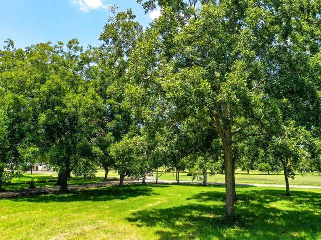 a view of grassy field with benches
