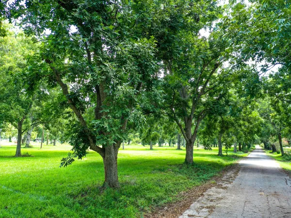 a huge green field with lots of trees