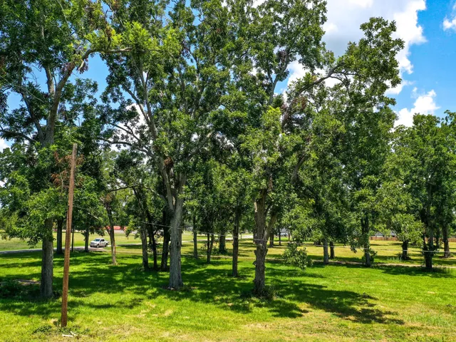 a big yard with trees