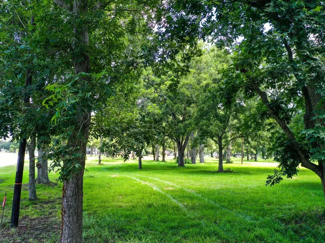 a huge green field with lots of trees