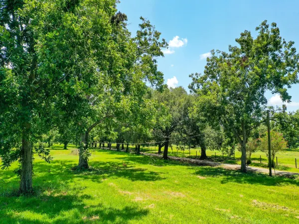 a view of green field