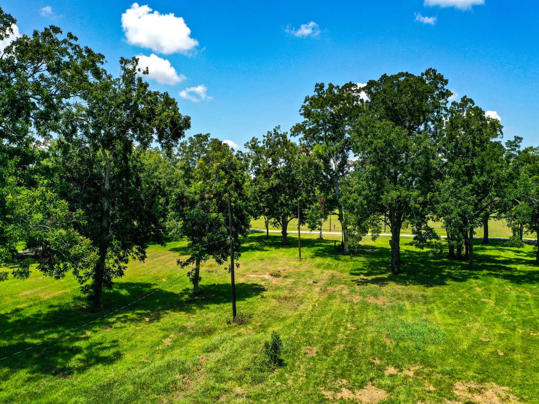 0 Texas Avenue Boling, TX 77420 - Photo 10 of 22 a view of a tree in a yard