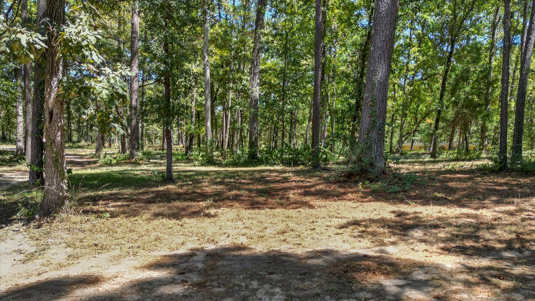 188 Camp Road Trinity, TX 75862 - Photo 30 of 37 Gallery Image 30
