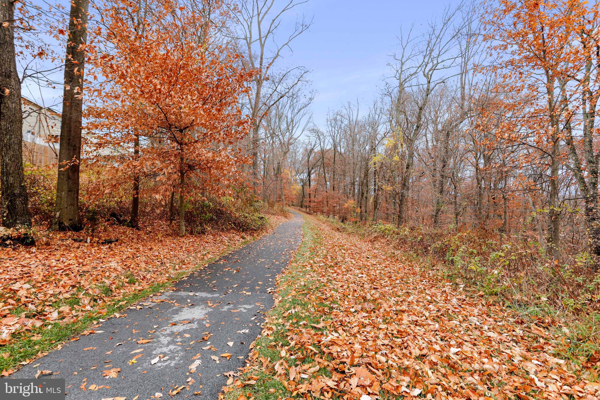 5648 Scott Ridge Place Frederick, MD 21704 - Photo 35 of 42