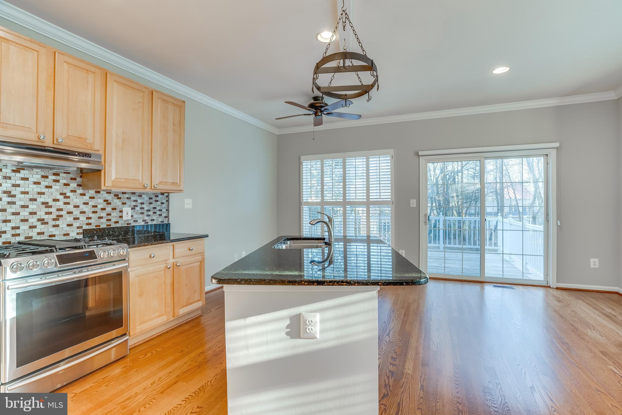 11439 Heritage Commons Way Reston, VA 20194 - Photo 8 of 38 Renovated Kitchen with Plantation Shutters